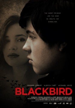 Чёрный дрозд (2012) смотреть онлайн в HD 1080 720