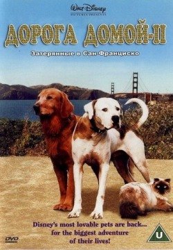 Дорога домой 2: Затерянные в Сан-Франциско (1996) смотреть онлайн в HD 1080 720