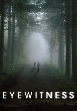 Свидетели 1 сезон все серии  (2016) смотреть онлайн бесплатно